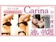 カリーナ(Carina)の写真