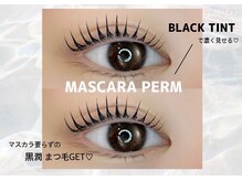 セレブヒルズ 横浜関内店(Celeb Hill's)/漆黒のマスカラパーマ