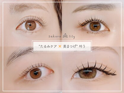 サクラリリー(Sakura Lily)の写真