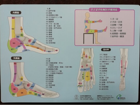 足底反射区図ポスター （反射区の写真素材｜写真素材なら「写真AC 