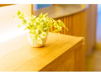 ラドニスト(RADNIST)/