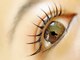 eyelash monroe.【アイラッシュ モンロー】LUCIDOSTYLE nature 下総中山の写真