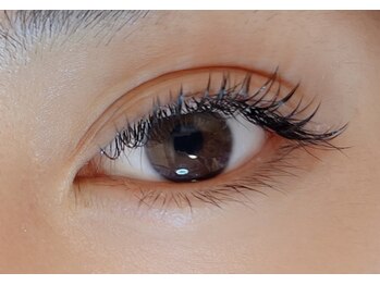 ユーキャン(You Can)/フラットマット 無限制