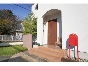 ルピナス(Lupinus)/外観