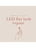 《1ヵ月以内リペア》LEDフラットラッシュ~60本リペア ¥6000