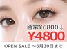 【OPEN SALE6月30日迄　¥6800→¥4800】シングルボリューム（80束まで）