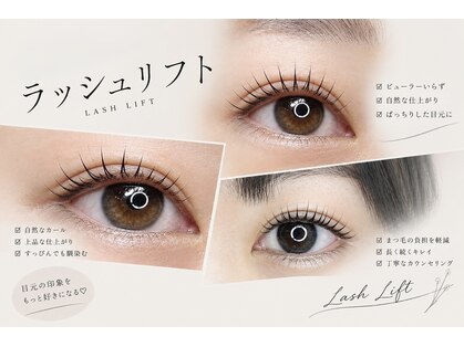 ルアーシル(Lurecil)の写真