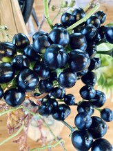 わたなべ整体院/