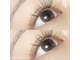 ノーチェ(noce)の写真