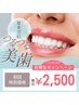 【9月限定】美白ホワイトニング7,700円→2,500円/残り30名