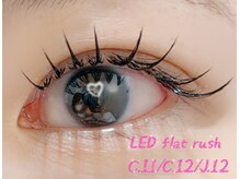 レジアントサロン(Rediant salon)/