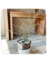 ビーデイ(b-day)/店内写真