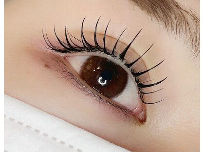 メゾン 神戸三宮(Maison)の写真