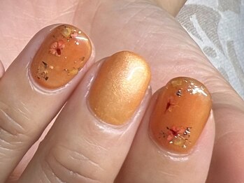 インプレス 大井町店(Impress)/定額レギュラーコース