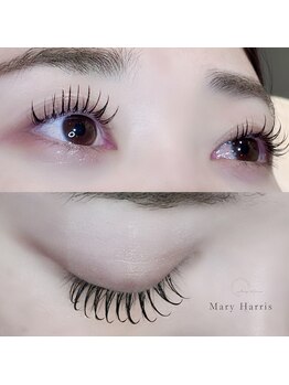 メアリーハリス 姪浜(Mary Harris)/フラットラッシュ 100本