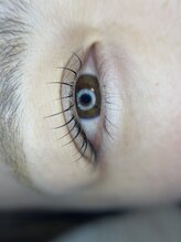 キリン(kirin)/ラッシュリフト