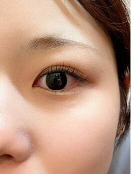 ビヨウシツチャーリー/フラットラッシュ80本