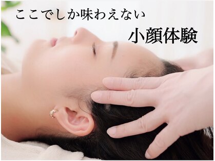 アスト(AST)の写真