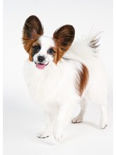 ティーネイルアンドアイラッシュ(tty)&nbsp;Latte 