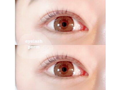 ソルテ(Sorte)の写真