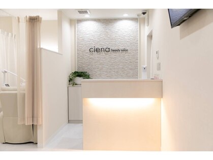 シエナ(ciena)の写真