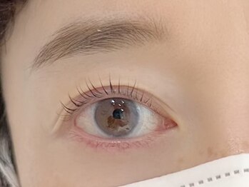 イル 鎌倉(ile)/ラッシュリフト