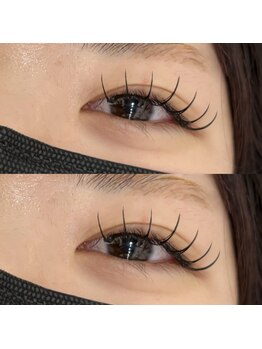 バニーアイズ 天神(Bunny eyes TENJIN)/フラットラッシュ140本