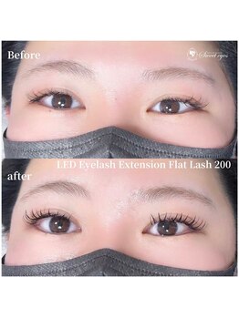 スウィートアイズ(Sweet eyes)/LEDフラットラッシュ200本