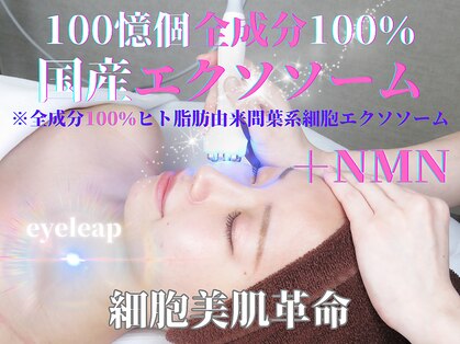 アイリープ(eyeleap)の写真