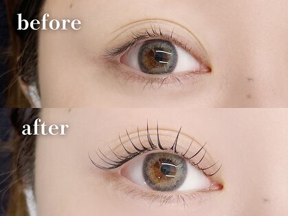 リプリ(RePuli)の写真