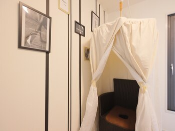 デイジー(Daisy)/