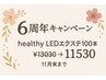 6周年キャンペーン！！＆healthy(LED100本)