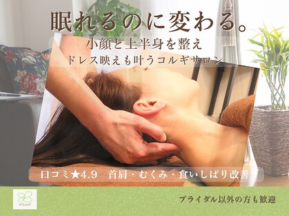 フォーリーフ(4 Leaf)の写真