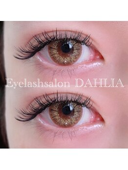 ダリア(DAHLIA)/ボリュームラッシュ