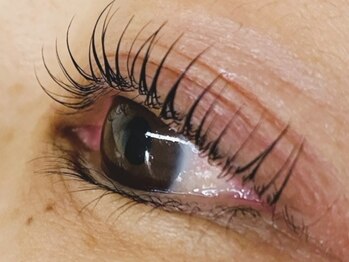 ウルカ アイラッシュ(uruka EYELASH)/ラッシュリフト