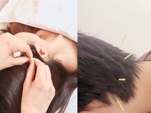 美巡究 南麻布