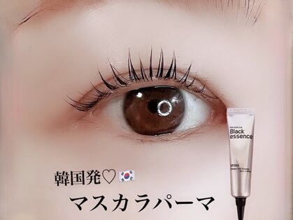 シロ(SHIRO.)の写真