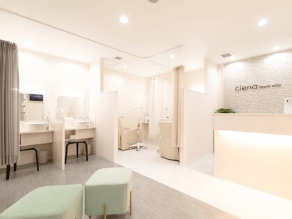 シエナ(ciena)の写真