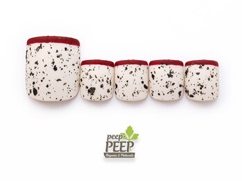 ピッピ 桜新町店(peep PEEP)/ 22年10月マンスリートレンド-23