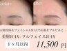 【4週間以内】美眉スタイリングWAX+全顔