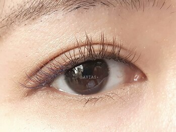 ラヴィアスプラス(LAVIAS+)/フラットラッシュ