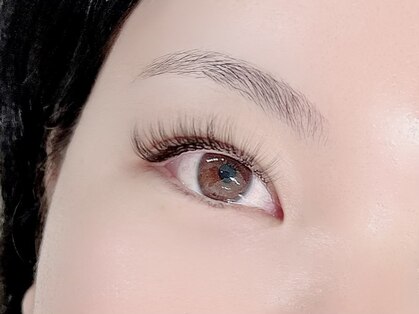 エミリー(emily)の写真