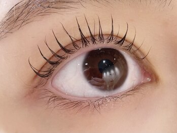 カラン 焼津店(CALIN)/シンプリフィ