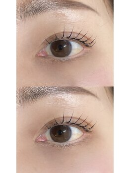 シイプ(SHE:P)/つちもと担当 ラッシュリフト