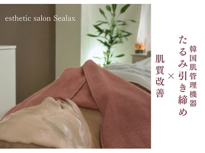 シーラックス(Sealax)の写真