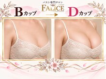 フェリーチェ 高松店(FALICE)の雰囲気（産後、卒乳後のお悩み全て解決致します。他店には無いマシン多数）