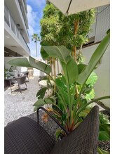 キオラスパ(KIOLA SPA)/テラス