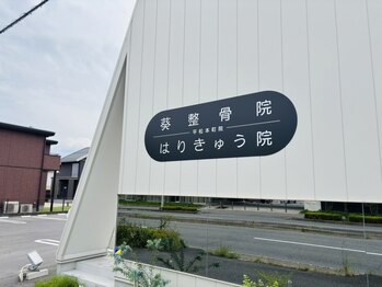 葵整骨院 はりきゅう院 平松本町院の写真/お肌や体の不調に関するお悩みはお任せ♪鍼と電気の力で血流を促し免疫細胞の活性化！不調を根本から改善◎