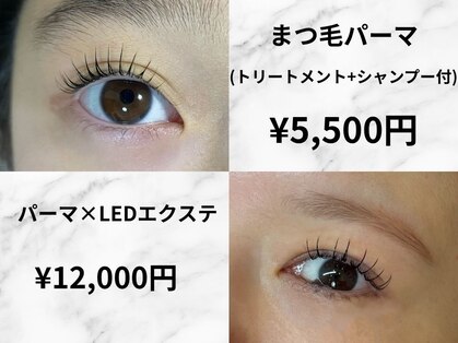 ミニョン(mignon)の写真