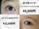 ミニョン(mignon)の写真